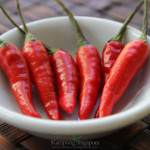 Chilli padi