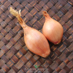 Shallots