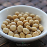 Soya Beans